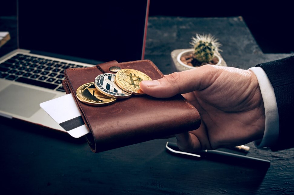 a man’s hand holding a leather wallet with bitcoins and a credit card, with a laptop and a cactus in the background